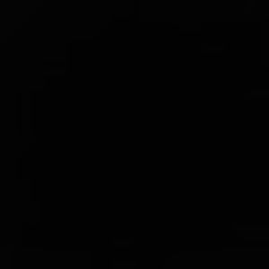 Meet your Posher, Therese